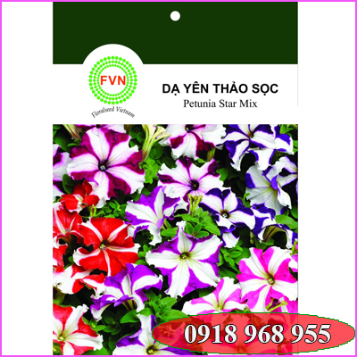 In túi hạt giống| baobigiaphat.vn